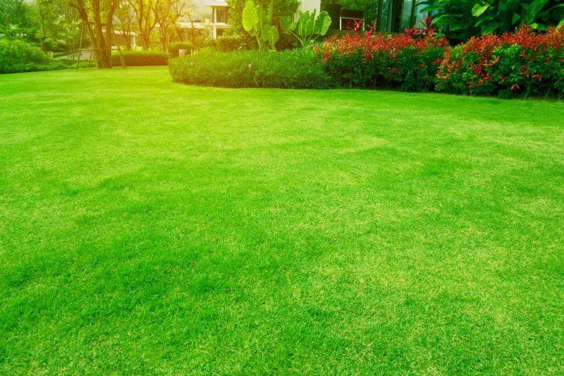 Home Yard Maintenance