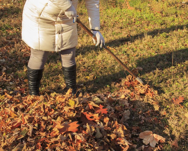 Raking Leaves Professionally