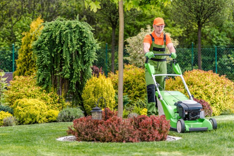 Lawn Care and Mowing