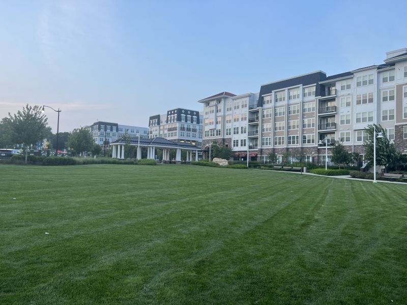 Lawn Management in Bowie, MD