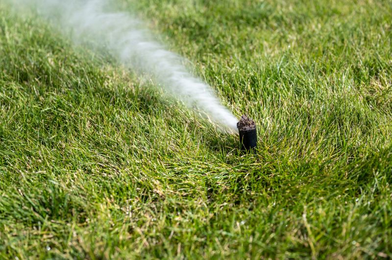 Lawn sprinkler winterization process