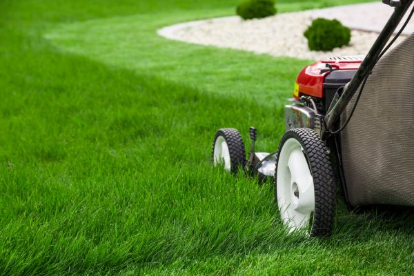 Grow your Home Yard Maintenance business
